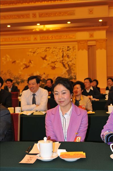 20140326160428802.JPG 全国人大代表张晓庆:加快我国通用航空发展